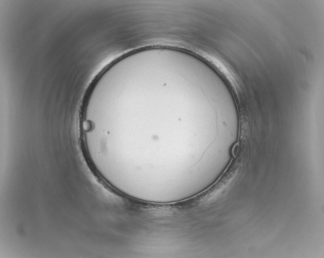 X0000115020999200911161442