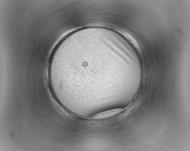 X0000115021000200911161442