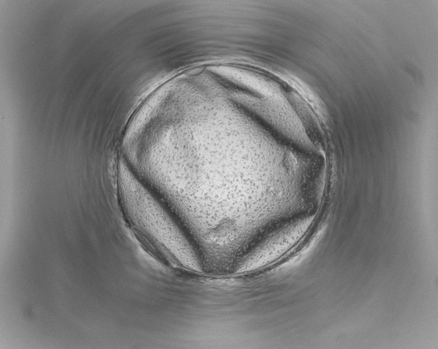 X0000115021001200911161442