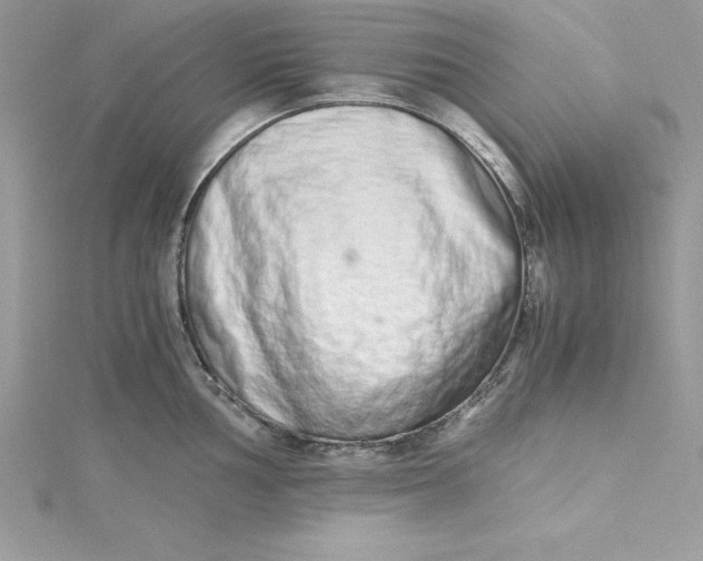 X0000115021002200911161442