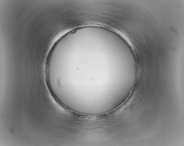 X0000115021003200911161442