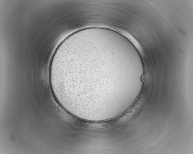 X0000115021004200911161442