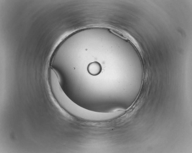 X0000115021005200911161442