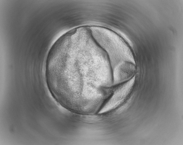 X0000115021007200911161442