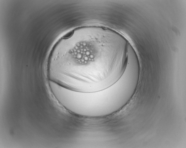 X0000115021008200911161442