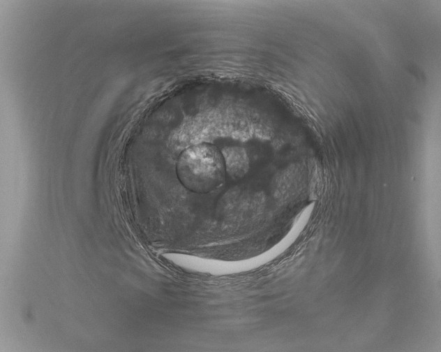 X0000115021009200911161441