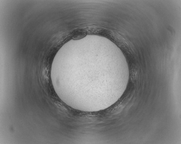 X0000115021010200911161441