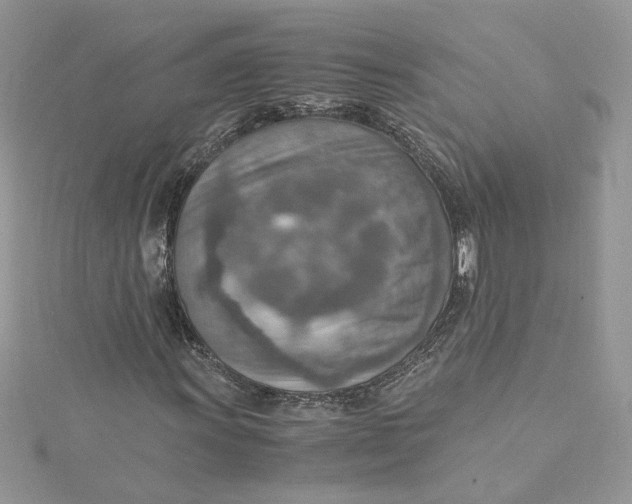 X0000115021011200911161441