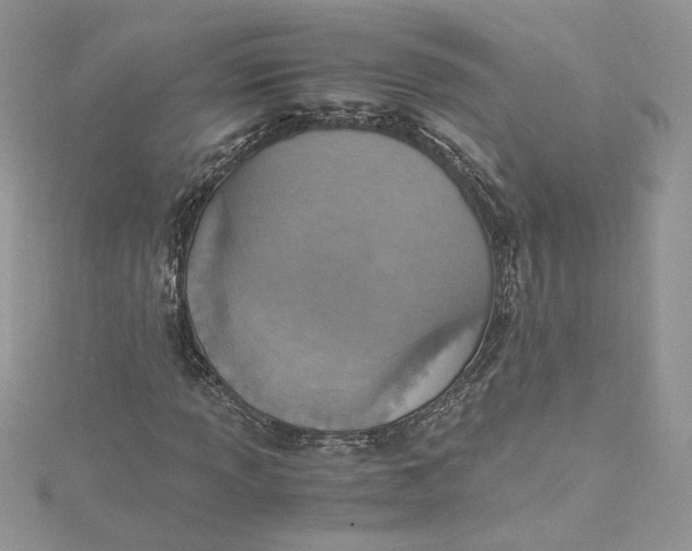 X0000115021013200911161441