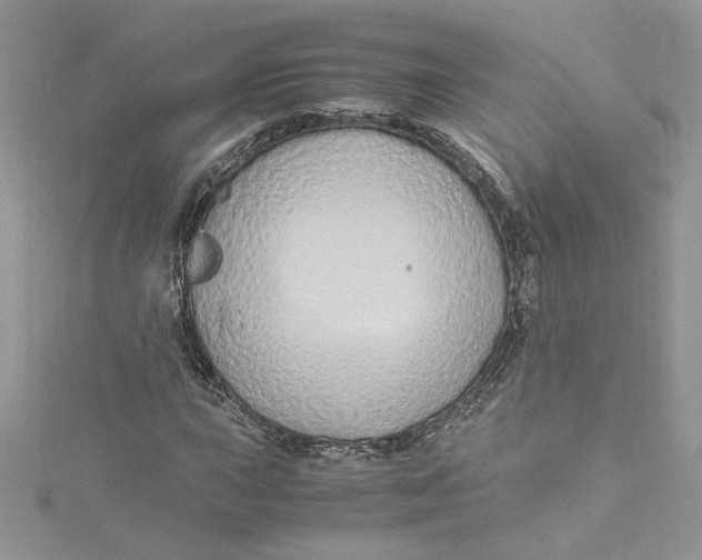 X0000115021015200911161441