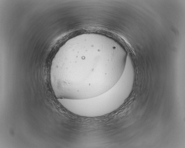 X0000115021016200911161441