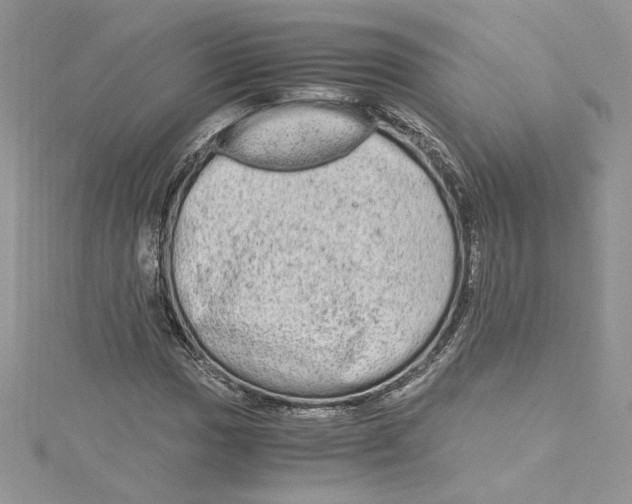 X0000115021017200911161441