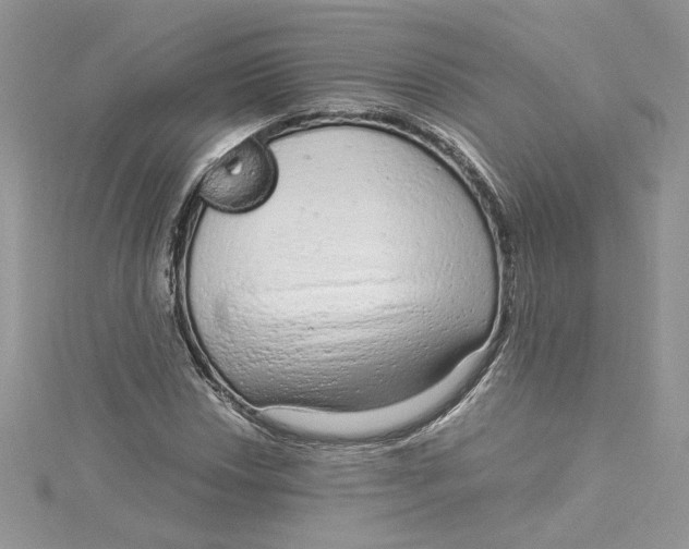 X0000115021018200911161441