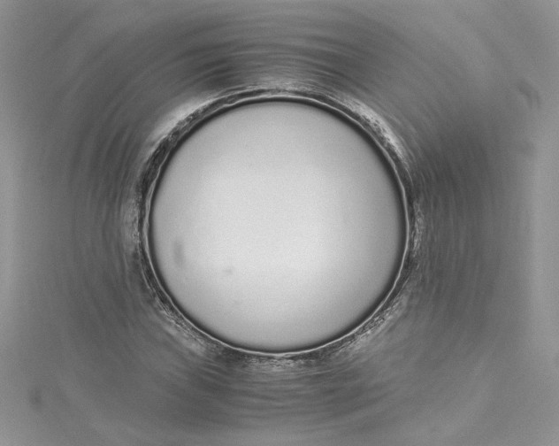 X0000115021019200911161441