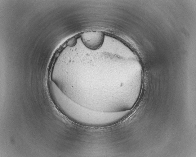 X0000115021020200911161441