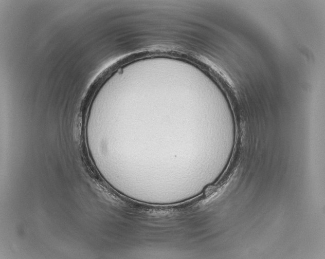 X0000115021021200911161441