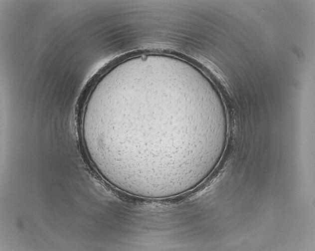 X0000115021022200911161441