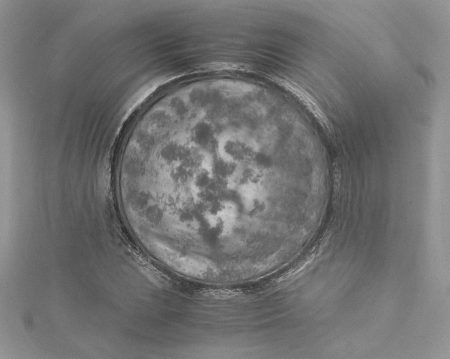 X0000115021023200911161441