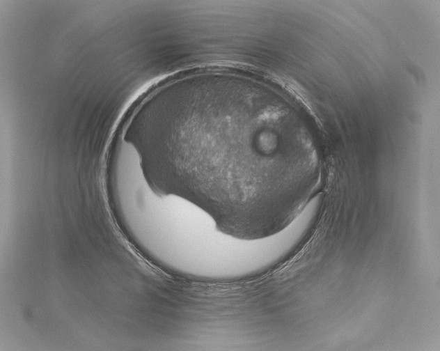 X0000115021024200911161441