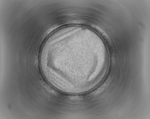 X0000115021025200911161441