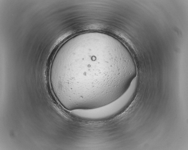 X0000115021026200911161441