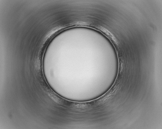 X0000115021027200911161441