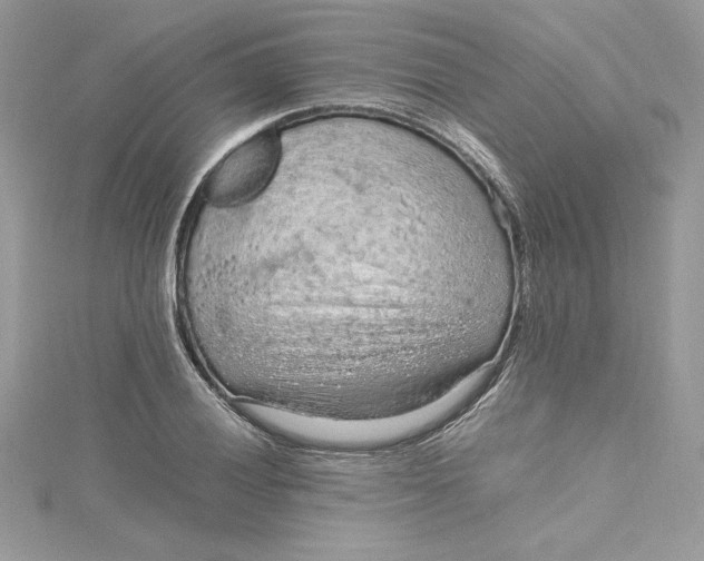 X0000115021028200911161441