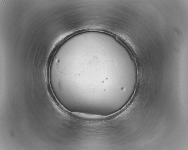 X0000115021030200911161441