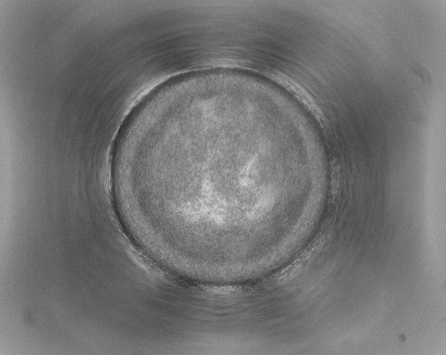 X0000115021031200911161441