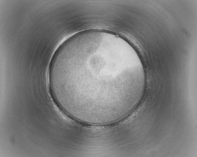 X0000115021032200911161441