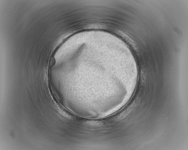 X0000115021033200911161441