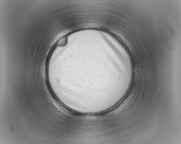 X0000115021034200911161441