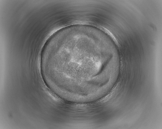 X0000115021035200911161441