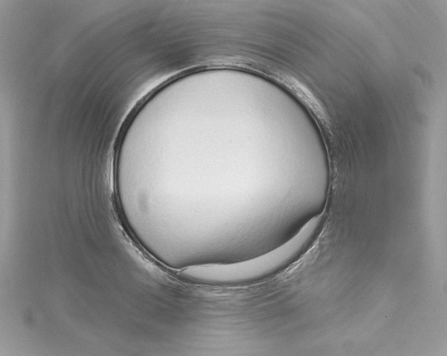 X0000115021036200911161441