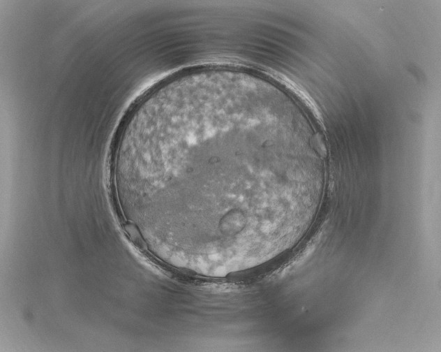 X0000115021037200911161441