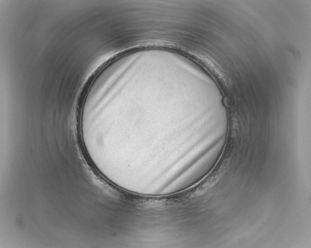 X0000115021038200911161441