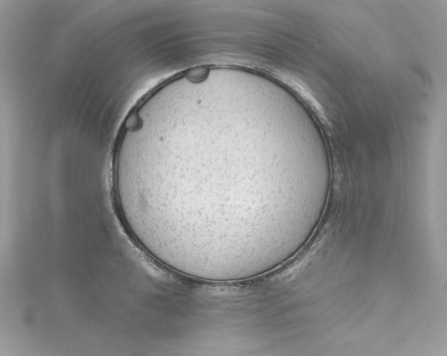 X0000115021040200911161441