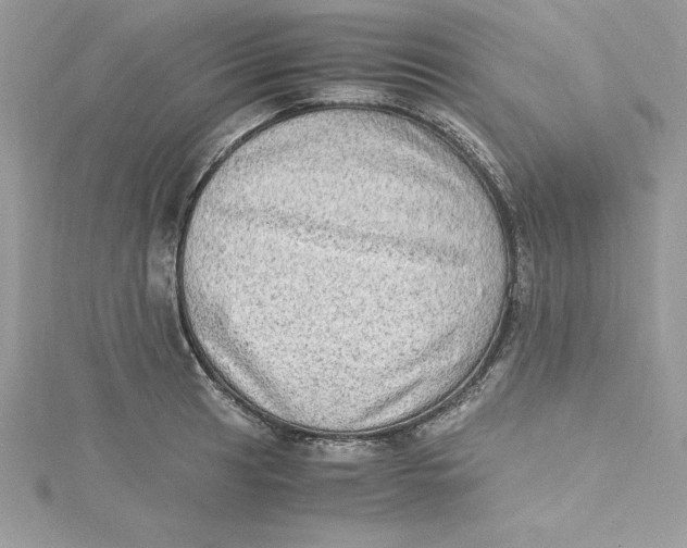 X0000115021041200911161441