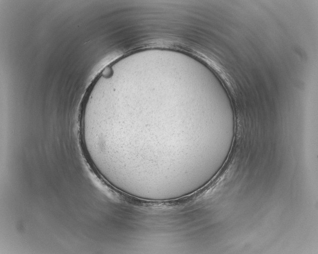 X0000115021042200911161441