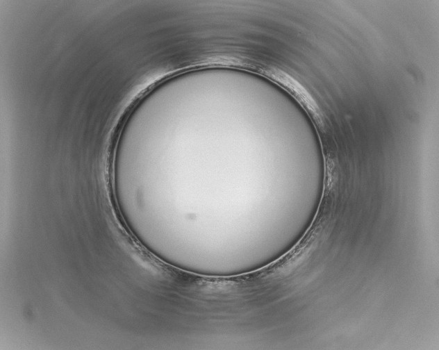 X0000115021043200911161441