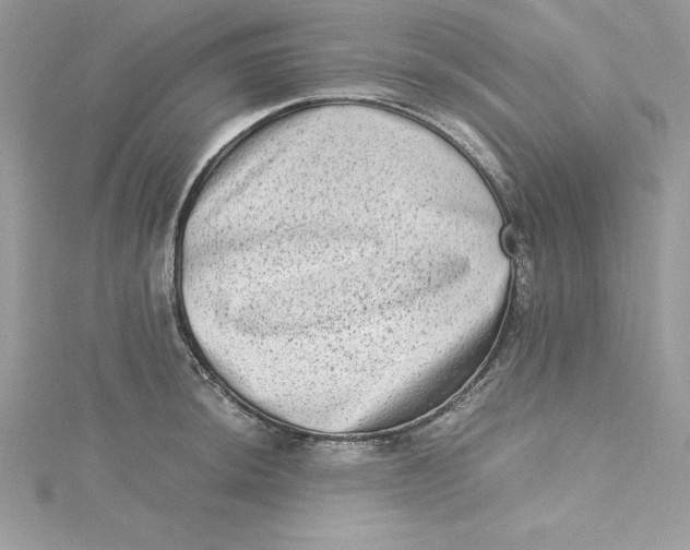 X0000115021044200911161441