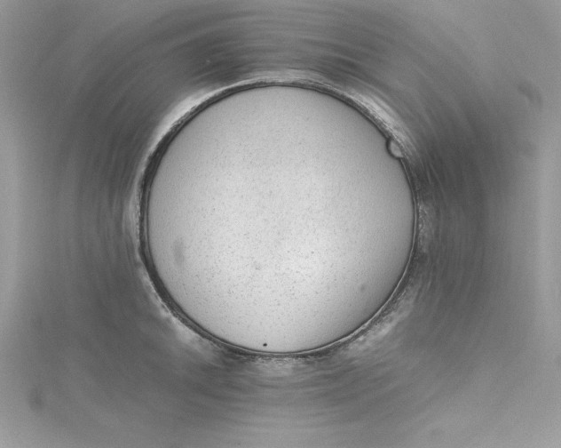 X0000115021046200911161441