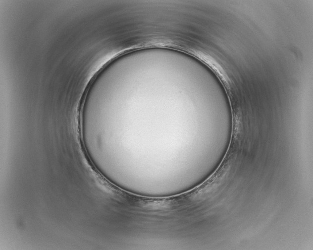 X0000115021047200911161441