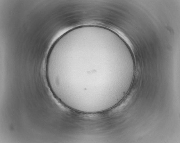 X0000115021053200911161442