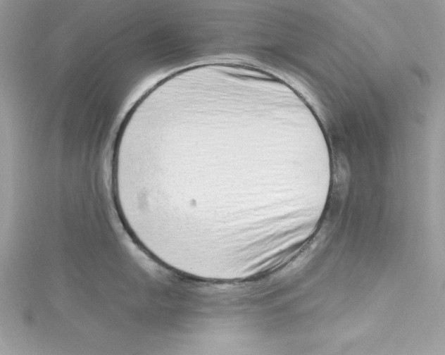 X0000115021054200911161442