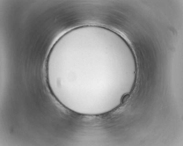 X0000115021056200911161442