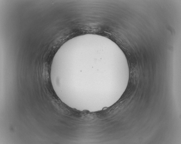 X0000115021058200911161441