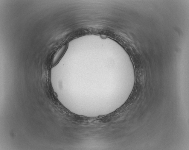 X0000115021061200911161441