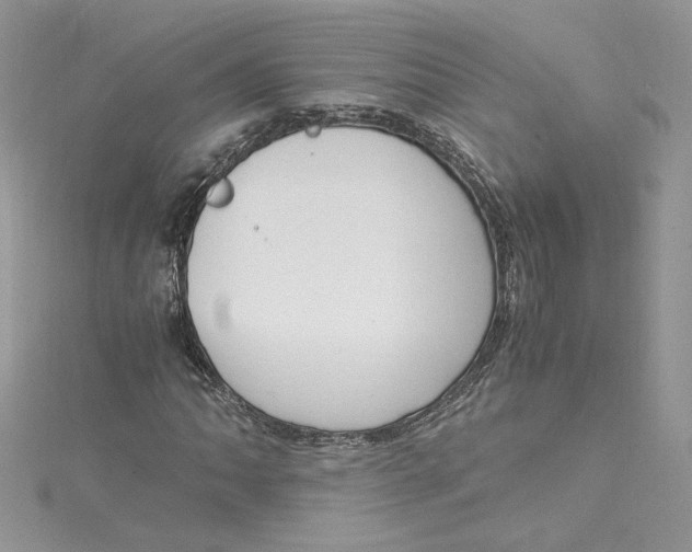 X0000115021062200911161441