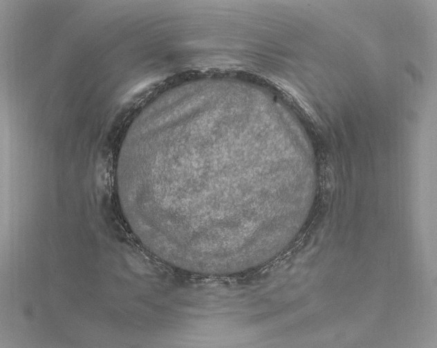 X0000115021063200911161441